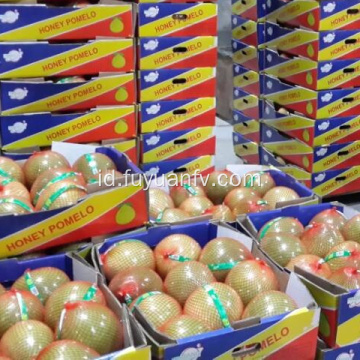 Selera yang bagus dan kualitas buah pomelo yang manis